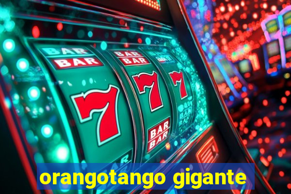 orangotango gigante